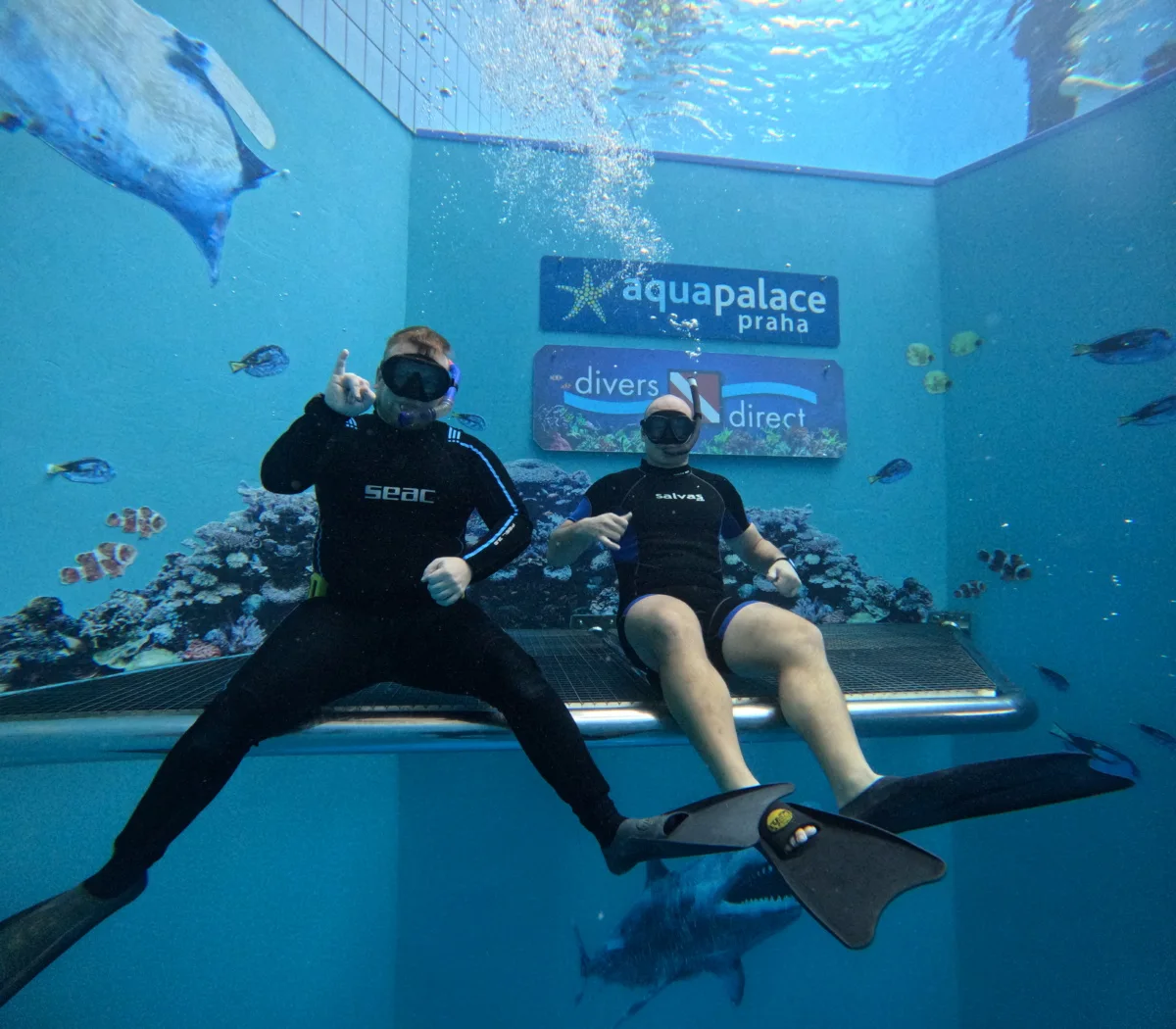 Freediving s Divers Direct