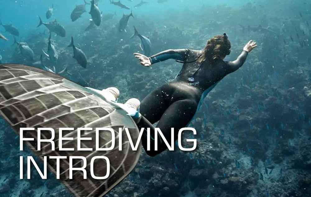 Karta Try Freediving
