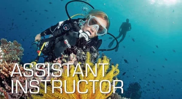 Karta Assistant Instructor