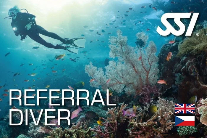Karta Referral Diver