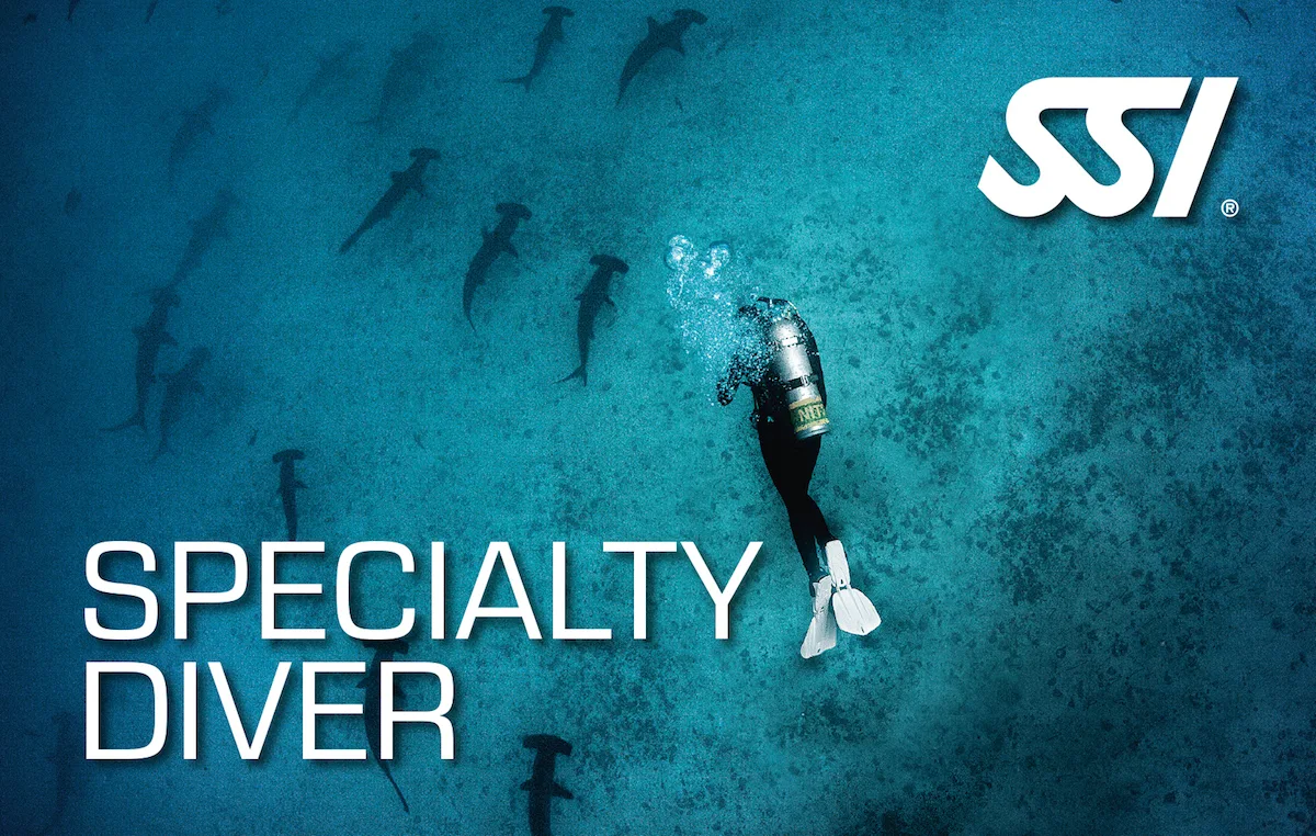 Karta Speciality Diver · Deep + Night